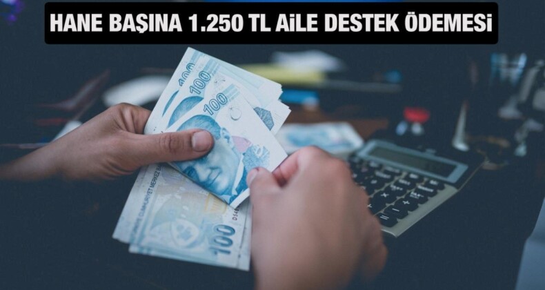 Aile Destek Programı Haziran ödemesi ne zaman? Hane başına aylık 1.250 TL yardım