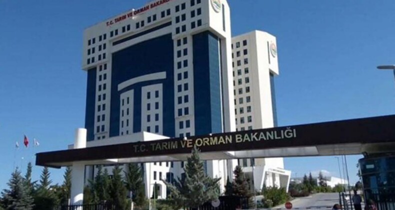 Tarım ve Orman Bakanlığı memur alacak! Kontenjan dağılımı ve başvuru şartları açıklandı