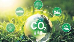 Çevreye zararın cezası ağır olacak