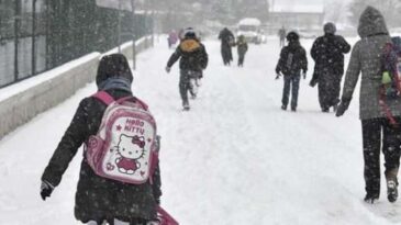 Yarın okullar tatil mi? 24 Şubat 2025 Zonguldak, Samsun’da okul yok mu?