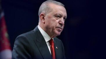 Erdoğan’dan ‘Terörsüz Türkiye hedefi’ açıklaması: Beklenen neticenin süratle alınacağı kanaatindeyim